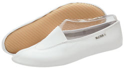 Bleyer Volti-S Nr 3842